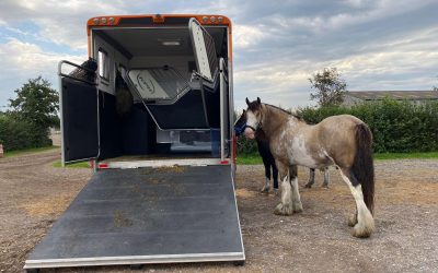 Safety First – Horsebox Ramp Grip