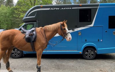Safety First – Horse Transport Stress